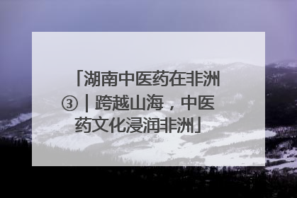 湖南中医药在非洲③｜跨越山海，中医药文化浸润非洲