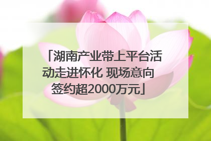 湖南产业带上平台活动走进怀化 现场意向签约超2000万元
