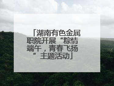 湖南有色金属职院开展“粽情端午，青春飞扬”主题活动