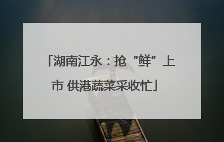 湖南江永：抢“鲜”上市 供港蔬菜采收忙