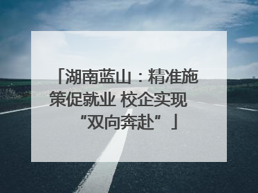 湖南蓝山：精准施策促就业 校企实现“双向奔赴”