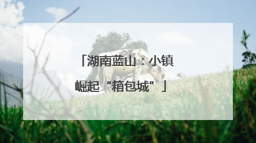 湖南蓝山：小镇崛起“箱包城”