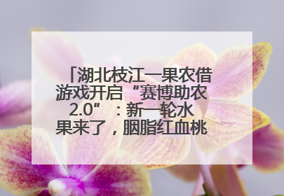 湖北枝江一果农借游戏开启“赛博助农2.0”：新一轮水果来了，胭脂红血桃已预售500单