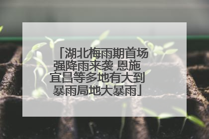 湖北梅雨期首场强降雨来袭 恩施宜昌等多地有大到暴雨局地大暴雨