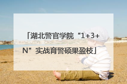 湖北警官学院“1+3+N”实战育警硕果盈枝