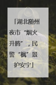 湖北随州夜市“烟火升腾”，民警“枫”景护安宁