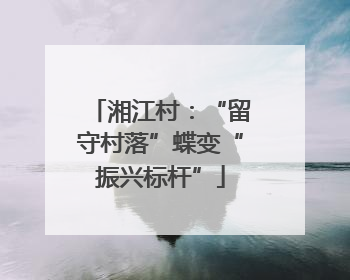 湘江村：“留守村落”蝶变“振兴标杆”