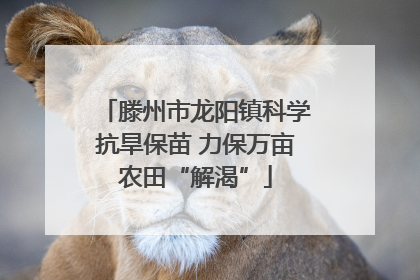 滕州市龙阳镇科学抗旱保苗 力保万亩农田“解渴”