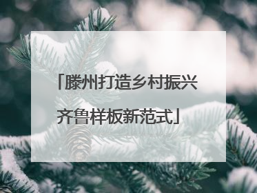 滕州打造乡村振兴齐鲁样板新范式