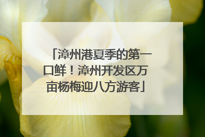 漳州港夏季的第一口鲜！漳州开发区万亩杨梅迎八方游客