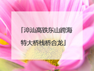 漳汕高铁东山跨海特大桥栈桥合龙