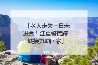 老人走失三日未进食！江夏警民跨城接力助回家