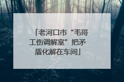 老河口市“毛哥工伤调解室”把矛盾化解在车间