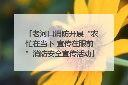 老河口消防开展“农忙在当下 宣传在眼前”消防安全宣传活动