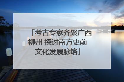 考古专家齐聚广西柳州 探讨南方史前文化发展脉络