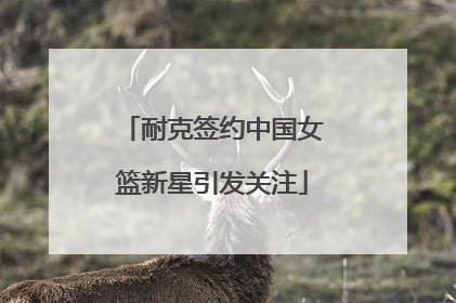 耐克签约中国女篮新星引发关注