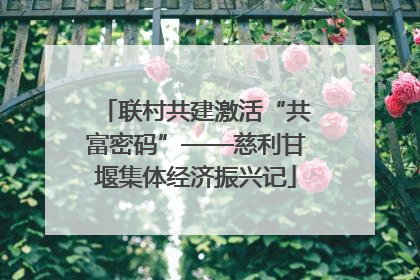 联村共建激活“共富密码”——慈利甘堰集体经济振兴记