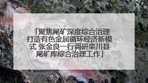聚焦尾矿深度综合治理 打造有色金属循环经济新模式 张金良一行调研栾川县尾矿库综合治理工作