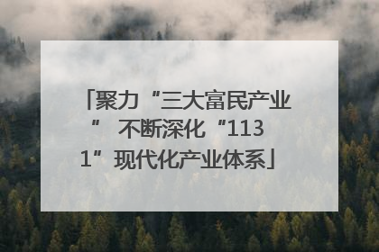 聚力“三大富民产业” 不断深化“1131”现代化产业体系