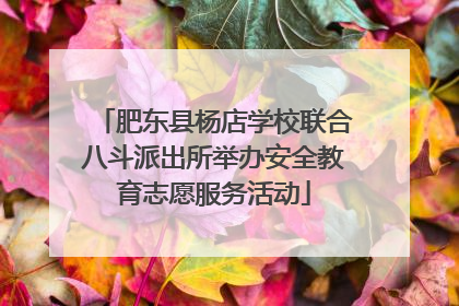 肥东县杨店学校联合八斗派出所举办安全教育志愿服务活动
