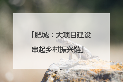 肥城：大项目建设串起乡村振兴链