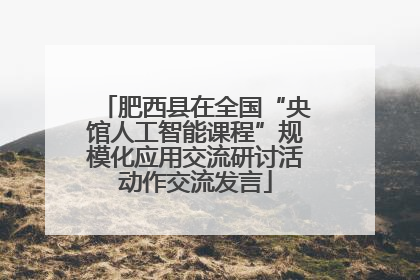 肥西县在全国“央馆人工智能课程”规模化应用交流研讨活动作交流发言