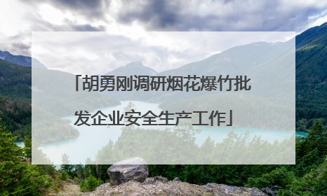 胡勇刚调研烟花爆竹批发企业安全生产工作