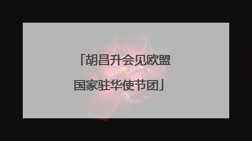 胡昌升会见欧盟国家驻华使节团