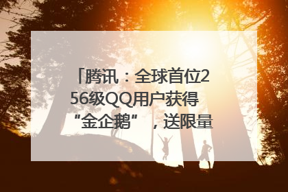 腾讯：全球首位256级QQ用户获得“金企鹅”，送限量版神秘惊喜等礼物