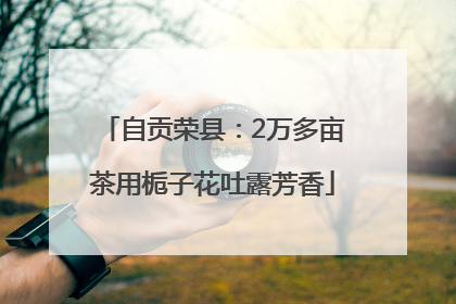 自贡荣县：2万多亩茶用栀子花吐露芳香