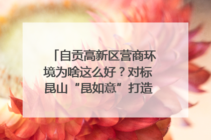自贡高新区营商环境为啥这么好？对标昆山“昆如意”打造自贡“高兴办”｜美好生活有“盐”味