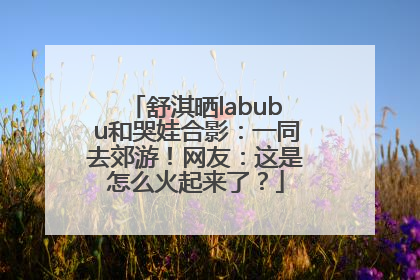 舒淇晒labubu和哭娃合影：一同去郊游！网友：这是怎么火起来了？