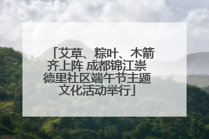艾草、粽叶、木箭齐上阵 成都锦江崇德里社区端午节主题文化活动举行