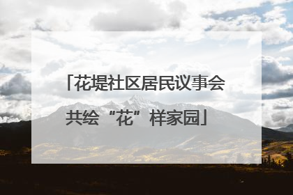花堤社区居民议事会共绘“花”样家园