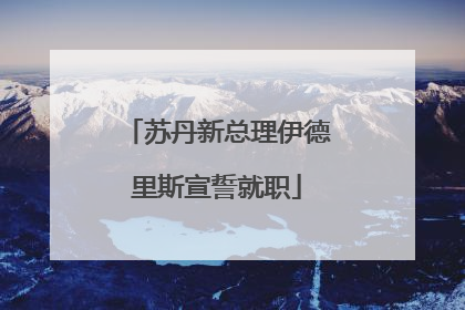 苏丹新总理伊德里斯宣誓就职