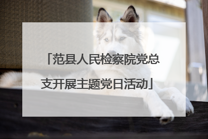范县人民检察院党总支开展主题党日活动