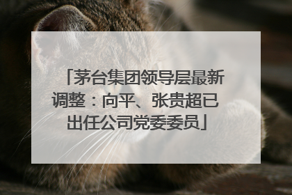 茅台集团领导层最新调整：向平、张贵超已出任公司党委委员