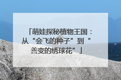 萌娃探秘植物王国：从“会飞的种子”到“善变的绣球花”