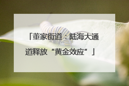 董家街道：陆海大通道释放“黄金效应”