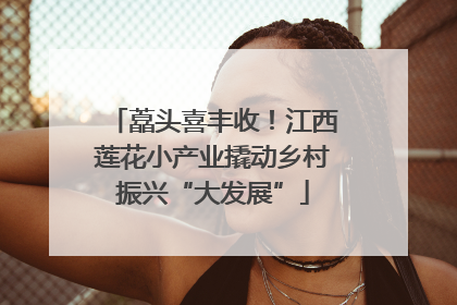 藠头喜丰收！江西莲花小产业撬动乡村振兴“大发展”