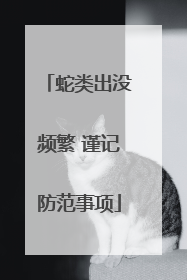 蛇类出没频繁 谨记防范事项
