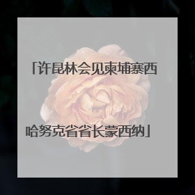 许昆林会见柬埔寨西哈努克省省长蒙西纳