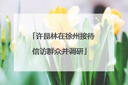 许昆林在徐州接待信访群众并调研