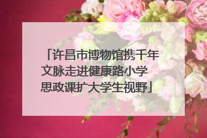 许昌市博物馆携千年文脉走进健康路小学 思政课扩大学生视野