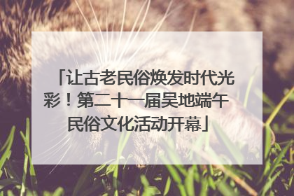 让古老民俗焕发时代光彩！第二十一届吴地端午民俗文化活动开幕