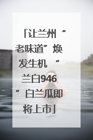 让兰州“老味道”焕发生机 “兰白946”白兰瓜即将上市