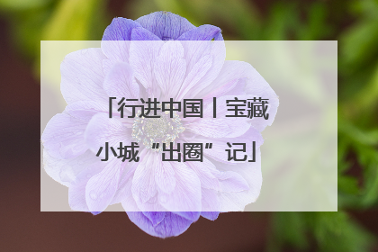 行进中国丨宝藏小城“出圈”记