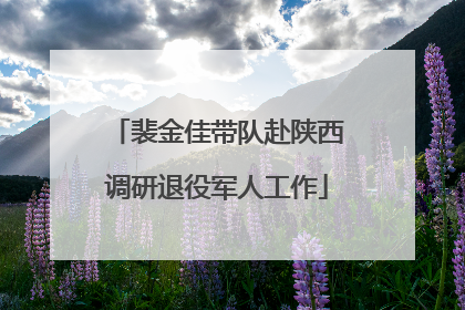 裴金佳带队赴陕西调研退役军人工作
