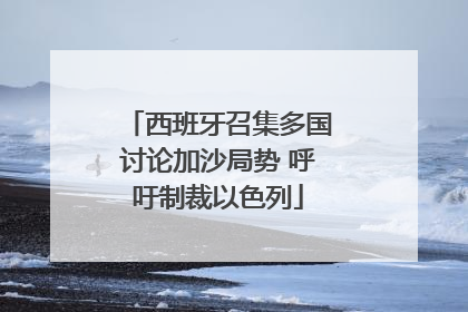 西班牙召集多国讨论加沙局势 呼吁制裁以色列