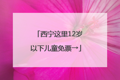 西宁这里12岁以下儿童免票→